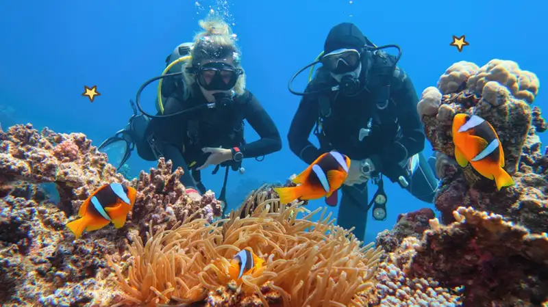 Ekosistem laut merupakan salah satu komponen terpenting dalam menjaga keseimbangan kehidupan di Bumi. Lautan tidak hanya menjadi rumah bagi berbagai jenis flora dan fauna, tetapi juga berperan vital dalam mengatur iklim, menjaga kualitas udara, serta menyediakan sumber daya yang dibutuhkan oleh umat manusia. Namun, seiring dengan perkembangan zaman dan aktivitas manusia yang semakin meningkat, ekosistem laut mengalami berbagai ancaman serius, seperti pencemaran, penangkapan ikan yang berlebihan, dan perubahan iklim. Oleh karena itu, penting bagi kita untuk memahami cara menjaga ekosistem laut agar dapat terus berfungsi dengan baik dan berkelanjutan. Dalam artikel ini, kita akan membahas beberapa aspek penting dalam menjaga ekosistem laut, mulai dari pemahaman dasar tentang ekosistem laut itu sendiri, hingga langkah-langkah konkret yang dapat diambil untuk melindunginya. 1. Pemahaman Dasar tentang Ekosistem Laut Ekosistem laut terdiri dari berbagai komponen yang saling berinteraksi, termasuk organisme hidup seperti ikan, mamalia laut, plankton, terumbu karang, dan berbagai jenis tanaman air. Setiap komponen memiliki peran spesifik dalam menjaga keseimbangan ekosistem. Untuk memahami lebih dalam, mari kita eksplorasi lebih lanjut tentang keanekaragaman hayati dan manfaat yang diberikan oleh ekosistem laut kepada manusia. Keanekaragaman hayati di laut sangat kaya. Di dalamnya terdapat lebih dari 230.000 spesies yang telah teridentifikasi, dan diperkirakan masih banyak spesies lain yang belum ditemukan. Ikan, misalnya, tidak hanya berfungsi sebagai sumber protein bagi manusia, tetapi juga memainkan peran penting dalam rantai makanan. Di sisi lain, terumbu karang tidak hanya menjadi habitat bagi berbagai spesies ikan, tetapi juga berfungsi sebagai pelindung pantai dari gelombang besar dan abrasi. Selain itu, ekosistem laut juga berperan dalam proses fotosintesis. Plankton, yang merupakan organisme mikroskopis, menyuplai sekitar 50% oksigen yang ada di atmosfer. Oleh karena itu, menjaga keberlangsungan hidup plankton dan organisme lain di laut adalah suatu keharusan untuk keberlangsungan hidup di Bumi. Manfaat lain dari ekosistem laut adalah sebagai sumber ekonomi. Nelayan bergantung pada hasil laut untuk mata pencaharian mereka, sementara industri pariwisata yang berfokus pada keindahan laut dan kehidupan bawah laut juga memberikan pendapatan yang signifikan bagi negara-negara pesisir. Dengan memahami pentingnya ekosistem laut, kita diharapkan lebih sadar akan perlunya melindungi dan menjaga keberlanjutannya. 2. Ancaman terhadap Ekosistem Laut Meskipun ekosistem laut memiliki peran vital, ancaman terhadap keberlangsungan hidupnya semakin meningkat. Pencemaran laut, penangkapan ikan yang berlebihan, dan perubahan iklim adalah beberapa masalah utama yang saat ini dihadapi oleh ekosistem laut. Mari kita telaah lebih dalam tentang masing-masing ancaman ini. Pencemaran laut adalah salah satu masalah paling mendesak yang perlu diatasi. Limbah plastik, bahan kimia, dan limbah industri merusak habitat laut dan membahayakan organisme yang tinggal di dalamnya. Menurut data dari Organisasi Kesehatan Dunia (WHO), setiap tahun diperkirakan ada 8 juta ton plastik yang masuk ke lautan. Plastik ini tidak hanya mencemari air, tetapi juga dapat terurai menjadi mikroplastik yang berbahaya bagi hewan laut dan akhirnya berpotensi masuk ke dalam rantai makanan manusia. Di samping pencemaran, penangkapan ikan yang berlebihan juga mengancam kelangsungan ekosistem laut. Praktik penangkapan ikan yang tidak berkelanjutan mengakibatkan penurunan populasi spesies ikan, yang pada gilirannya memengaruhi keseimbangan ekosistem. Banyak spesies ikan yang terancam punah akibat penangkapan yang tidak terkontrol, dan ini dapat memiliki dampak jangka panjang pada ekosistem. Perubahan iklim juga menjadi ancaman serius bagi ekosistem laut. Kenaikan suhu air laut dan peningkatan keasaman air laut akibat penyerapan karbon dioksida berdampak buruk pada kehidupan laut, terutama terumbu karang. Pemutihan terumbu karang terjadi ketika suhu air laut meningkat, yang mengakibatkan kehilangan habitat bagi banyak spesies. Jika tren ini terus berlanjut, ekosistem laut dapat mengalami kerusakan yang tidak dapat diperbaiki. 3. Upaya Konservasi Ekosistem Laut Menjaga ekosistem laut memerlukan tindakan nyata dari semua pihak, mulai dari individu hingga pemerintah. Ada banyak langkah yang dapat diambil untuk melindungi ekosistem laut. Beberapa di antaranya termasuk pengurangan penggunaan plastik sekali pakai, praktik penangkapan ikan yang berkelanjutan, serta pengembangan kawasan konservasi laut. Salah satu cara paling sederhana untuk mengurangi pencemaran laut adalah dengan mengurangi penggunaan plastik sekali pakai. Masyarakat dapat beralih ke alternatif yang lebih ramah lingkungan, seperti tas kain atau botol minum yang dapat digunakan kembali. Selain itu, partisipasi dalam kegiatan bersih-bersih pantai juga dapat membantu mengurangi limbah yang masuk ke laut. Dalam hal penangkapan ikan, penting untuk menerapkan praktik yang berkelanjutan. Ini termasuk pemantauan populasi ikan dan pengaturan kuota tangkap yang sesuai agar tidak terjadi penangkapan berlebihan. Selain itu, mendukung produk perikanan yang bersertifikat berkelanjutan dapat membantu mendorong praktik perikanan yang lebih bertanggung jawab. Pengembangan kawasan konservasi laut juga merupakan strategi penting. Kawasan ini dirancang untuk melindungi habitat laut yang kritis dan memberikan ruang bagi populasi ikan dan organisme laut lainnya untuk pulih. Dengan menutup area tertentu dari aktivitas penangkapan ikan dan eksploitasi sumber daya lainnya, kita dapat membantu menjaga keseimbangan ekosistem laut. 4. Peran Masyarakat dalam Menjaga Ekosistem Laut Kesadaran masyarakat sangat penting dalam upaya menjaga ekosistem laut. Edukasi tentang pentingnya konservasi laut harus dilakukan secara terus-menerus untuk membangun kesadaran dan kepedulian. Selain itu, partisipasi aktif masyarakat dalam program-program lingkungan juga sangat diperlukan. Pendidikan merupakan kunci untuk meningkatkan kesadaran tentang isu-isu yang dihadapi oleh ekosistem laut. Sekolah-sekolah dan lembaga pendidikan dapat menyelenggarakan program-program yang mengajarkan siswa tentang pentingnya menjaga laut dan bagaimana tindakan kecil dapat memiliki dampak besar. Aktivitas seperti field trip ke pantai atau pusat konservasi laut dapat memberikan pengalaman langsung yang memperkuat pemahaman mereka. Partisipasi masyarakat dalam kegiatan konservasi juga sangat penting. Banyak organisasi non-pemerintah (NGO) yang menawarkan program sukarela untuk membersihkan pantai atau melakukan penelitian tentang kehidupan laut. Dengan terlibat langsung, masyarakat tidak hanya berkontribusi pada upaya pelestarian, tetapi juga dapat menginspirasi orang lain untuk melakukan hal yang sama. Selain itu, masyarakat juga dapat berperan dalam menyuarakan kepentingan lingkungan kepada pemerintah. Mendukung kebijakan dan regulasi yang mendukung perlindungan laut, serta berpartisipasi dalam forum-forum diskusi publik, dapat membantu memastikan bahwa suara masyarakat didengar dalam pengambilan keputusan yang berkaitan dengan sumber daya laut. Dengan semua upaya ini, diharapkan kesadaran dan tindakan kolektif dapat membawa perubahan positif yang signifikan terhadap keberlangsungan ekosistem laut kita.