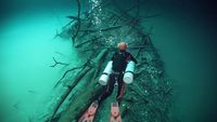 Indonesia, sebagai negara kepulauan terbesar di dunia, memiliki kekayaan laut yang luar biasa. Dengan lebih dari 17.000 pulau dan garis pantai yang membentang sepanjang 99.000 kilometer, potensi bioma laut Indonesia sangat besar. Lautan di Indonesia tidak hanya kaya akan keanekaragaman hayati, tetapi juga memiliki struktur dan ekosistem yang kompleks. Artikel ini akan membahas struktur mengenai isi lautan di Indonesia, termasuk topografi dasar laut, ekosistem laut, sumber daya laut, serta tantangan dan upaya konservasi yang dihadapi. 1. Topografi Dasar Laut Indonesia Topografi dasar laut Indonesia sangat bervariasi dan menjadi bagian penting dalam memahami struktur lautannya. Dasar laut Indonesia didominasi oleh dua jenis utama: palung laut yang dalam dan dataran kontinental yang lebih dangkal. Palung laut yang terletak di sekitar Kepulauan Sunda dan Sulawesi seperti Palung Sunda dan Palung Makassar merupakan salah satu yang terdalam di dunia. Palung ini terbentuk akibat pergerakan lempeng tektonik yang menyebabkan subduksi. Di sisi lain, dataran kontinental yang terdapat di sepanjang pantai Indonesia dapat menjangkau kedalaman kurang dari 200 meter. Dataran ini merupakan lokasi yang kaya akan sumber daya, seperti ikan dan hasil laut lainnya. Selain itu, laut dangkal juga menjadi habitat bagi berbagai spesies terumbu karang, mangrove, dan lamun yang berfungsi sebagai ekosistem penyangga. Lebih lanjut, struktur dasar laut juga mencakup gunung laut dan pulau-pulau kecil yang muncul dari dasar laut sebagai hasil aktivitas vulkanik. Gunung-gunung ini sering kali menjadi tujuan bagi para penyelam dan peneliti karena keunikan ekosistem yang terkandung di dalamnya. Misalnya, Gunung Laut Krakatau dikenal luas karena letusan dahsyatnya yang mempengaruhi ekosistem sekitarnya. Topografi dasar laut Indonesia tidak hanya penting untuk memahami keanekaragaman hayati, tetapi juga berpengaruh besar terhadap pola arus laut dan iklim. Sebagai contoh, arus dingin yang mengalir dari Samudera Hindia ke Laut Jawa berkontribusi pada suhu air laut yang lebih sejuk dan mempengaruhi pola cuaca di seluruh wilayah. Secara keseluruhan, pemahaman mengenai topografi dasar laut Indonesia membantu dalam pengelolaan sumber daya laut dan pelestarian ekosistem yang ada. Pengetahuan ini juga menjadi acuan bagi penelitian dan eksplorasi yang lebih mendalam mengenai kekayaan laut Indonesia. 2. Ekosistem Laut Indonesia Ekosistem laut Indonesia adalah salah satu yang paling kaya dan beragam di dunia. Laut Indonesia adalah rumah bagi berbagai jenis organisme, mulai dari plankton, ikan, hingga mamalia laut seperti paus dan lumba-lumba. Salah satu ekosistem terpenting adalah terumbu karang yang menjadi habitat bagi ribuan spesies ikan dan organisme laut lainnya. Terumbu karang berfungsi sebagai tempat tinggal, pemijahan, serta tempat mencari makan bagi berbagai jenis biota laut. Terumbu karang di Indonesia sangat beragam, dengan beberapa lokasi di antaranya adalah Raja Ampat, Bunaken, dan Wakatobi. Terumbu karang tidak hanya berfungsi sebagai habitat, tetapi juga berperan penting dalam melindungi pantai dari erosi serta sebagai sumber pendapatan bagi masyarakat pesisir melalui pariwisata. Selain terumbu karang, ekosistem lain yang juga penting adalah lamun dan hutan mangrove. Lamun adalah tanaman laut yang tumbuh di perairan dangkal dan berfungsi sebagai tempat berkembang biak bagi banyak spesies ikan. Sementara itu, hutan mangrove berfungsi sebagai penyangga antara laut dan daratan, membantu mengurangi dampak gelombang dan banjir. Keanekaragaman hayati di laut Indonesia juga mencakup berbagai spesies ikan yang menjadi sumber pangan bagi masyarakat. Ikan-ikan seperti tuna, snapper, dan grouper merupakan komoditas utama dalam industri perikanan. Namun, penangkapan ikan yang berlebihan dan perubahan iklim menjadi ancaman serius bagi kelestarian ekosistem laut. Dengan memahami ekosistem laut Indonesia secara mendalam, upaya konservasi dan pengelolaan sumber daya laut dapat dilakukan dengan lebih efektif. Pemerintah dan masyarakat perlu bekerja sama untuk menjaga kelestarian ekosistem laut demi keberlangsungan hidup berbagai spesies serta kesejahteraan masyarakat pesisir. 3. Sumber Daya Laut Indonesia Sumber daya laut Indonesia sangat melimpah dan memainkan peranan penting dalam perekonomian negara. Di antaranya adalah hasil perikanan, energi, dan mineral. Sektor perikanan, misalnya, merupakan salah satu sumber pendapatan utama bagi masyarakat pesisir. Indonesia adalah salah satu produsen ikan terbesar di dunia, dengan berbagai jenis ikan yang dapat ditangkap dari perairan laut, serta budidaya ikan yang terus berkembang. Selain hasil perikanan, laut Indonesia juga kaya akan sumber daya energi, termasuk minyak dan gas bumi. Banyak ladang minyak yang terletak di perairan, dan eksploitasi sumber daya ini telah memberikan dampak signifikan terhadap perekonomian. Namun, eksplorasi minyak dan gas sering kali menimbulkan dampak lingkungan yang merugikan, sehingga perlu pengelolaan yang bijak. Mineral laut seperti pasir, kerikil, dan kobalt juga merupakan bagian dari sumber daya laut yang dapat dimanfaatkan. Namun, penambangan yang tidak terencana dapat menghancurkan ekosistem laut dan mengganggu keseimbangan yang ada. Pengelolaan yang berkelanjutan terhadap sumber daya laut sangat penting untuk menjaga kelestariannya. Dengan memanfaatkan teknologi dan pendekatan yang ramah lingkungan, diharapkan sumber daya laut dapat dimanfaatkan tanpa merusak ekosistem yang ada. Program-program pelestarian seperti pengembangan kawasan konservasi laut dan pendidikan masyarakat juga perlu ditingkatkan untuk memastikan bahwa generasi mendatang dapat menikmati kekayaan laut Indonesia. 4. Tantangan dan Upaya Konservasi Laut Indonesia Meskipun laut Indonesia kaya akan sumber daya dan keanekaragaman hayati, banyak tantangan yang dihadapi dalam menjaga kelestarian ekosistem laut. Beberapa tantangan utama meliputi penangkapan ikan berlebihan, pencemaran, perubahan iklim, dan kerusakan habitat. Penangkapan ikan yang berlebihan menjadi masalah serius yang mengancam kelangsungan hidup berbagai spesies ikan. Praktik penangkapan yang tidak berkelanjutan menyebabkan penurunan populasi ikan dan merusak keseimbangan ekosistem. Oleh karena itu, perlu adanya regulasi yang ketat dan penegakan hukum untuk mencegah praktik ilegal. Pencemaran laut, baik dari limbah industri, sampah plastik, maupun pencemaran minyak, juga berkontribusi pada kerusakan ekosistem laut. Masyarakat perlu diedukasi tentang pentingnya menjaga kebersihan laut dan mengurangi penggunaan plastik sekali pakai. Perubahan iklim menjadi tantangan global yang juga berdampak pada ekosistem laut Indonesia. Kenaikan suhu air laut dan pengasaman laut dapat mengganggu kehidupan terumbu karang dan spesies laut lainnya. Oleh karena itu, upaya mitigasi perubahan iklim harus menjadi fokus utama. Dalam menghadapi tantangan-tantangan tersebut, berbagai upaya konservasi telah dilakukan, seperti pembentukan kawasan konservasi laut, program rehabilitasi terumbu karang, dan pengembangan ekonomi biru yang berkelanjutan. Kerjasama antara pemerintah, masyarakat, dan pihak swasta sangat diperlukan untuk menjaga kelestarian laut Indonesia agar tetap dapat dimanfaatkan secara berkelanjutan.